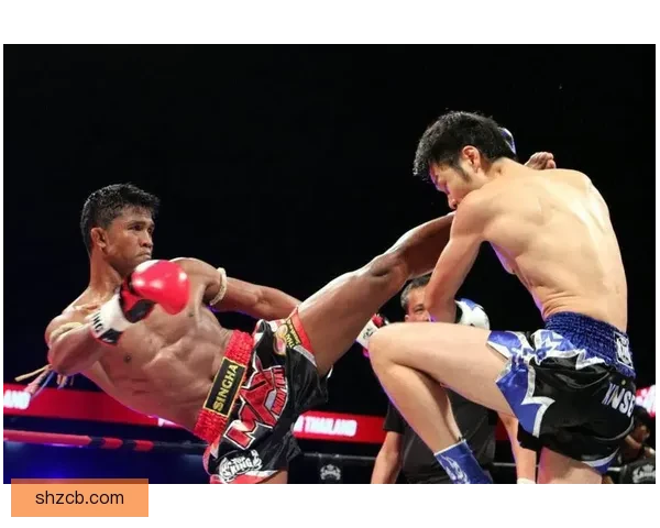 一龙对决播求三番战恩怨再起中国武术与泰拳巅峰碰撞宿命之夜胜负悬念