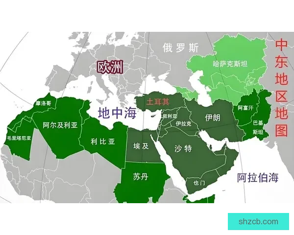 以巴勒斯坦与以色列冲突为背景分析印度的外交政策调整与区域安全挑战