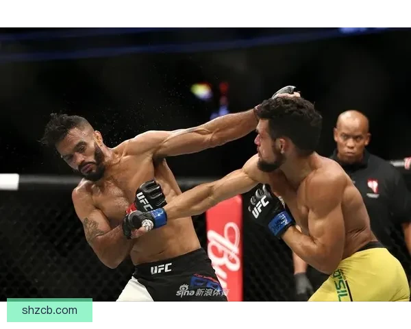 UFC罗梅罗对决蜘蛛巅峰对抗技术力量终极较量回顾经典战解析